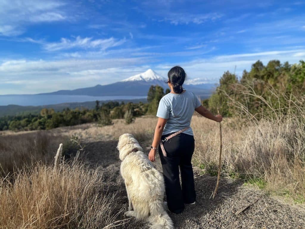 May and a dog looking at a Osorno Volcano in Chile.