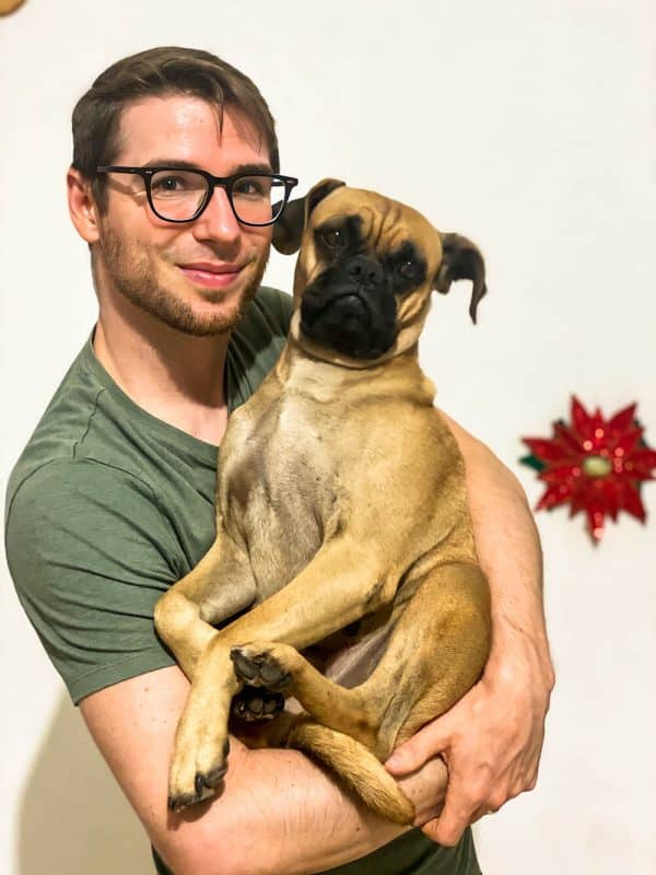 27+ Different Ways to Say Dog in Spanish [Translation and Much More!]