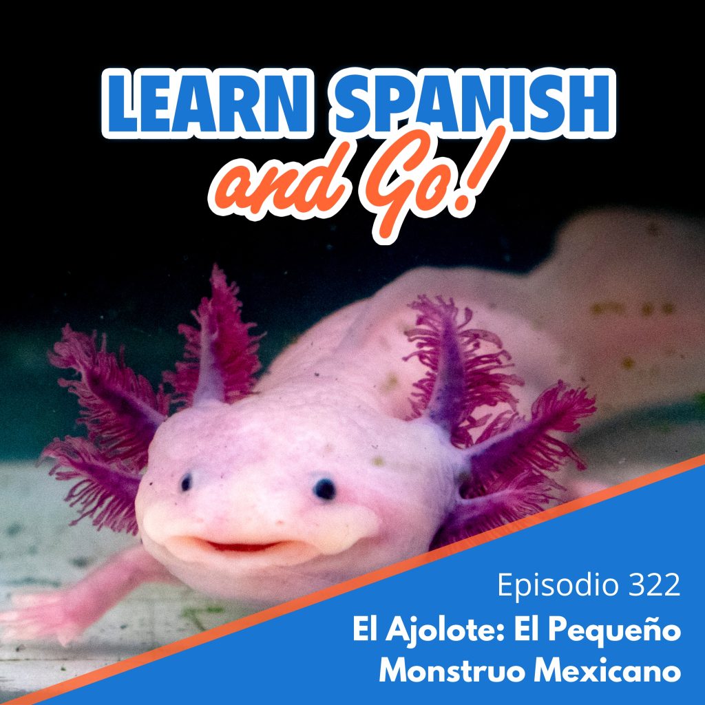 322 – El Ajolote: El Pequeño Monstruo Mexicano – The Axolotl: Mexico’s Little Monster