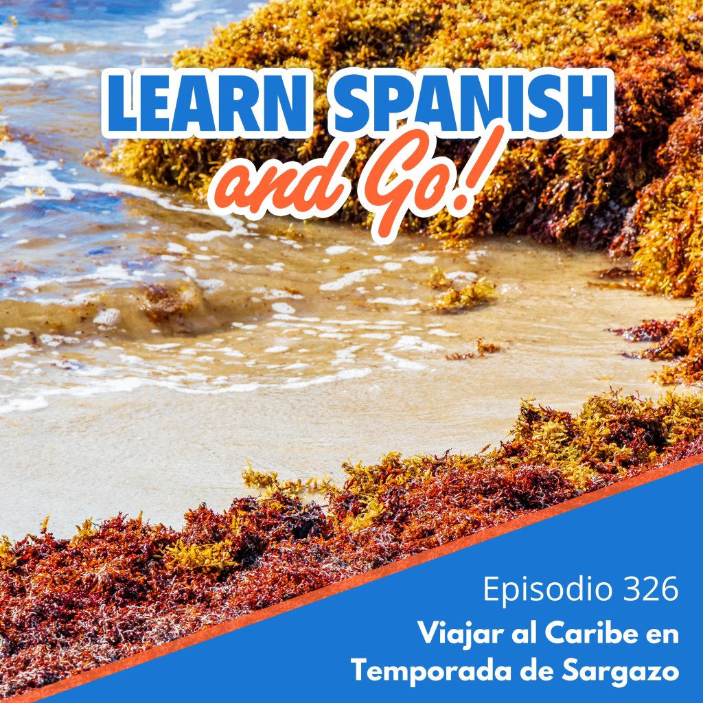 326 – Viajar al Caribe en Temporada de Sargazo | Traveling to the Caribbean During Sargassum Season