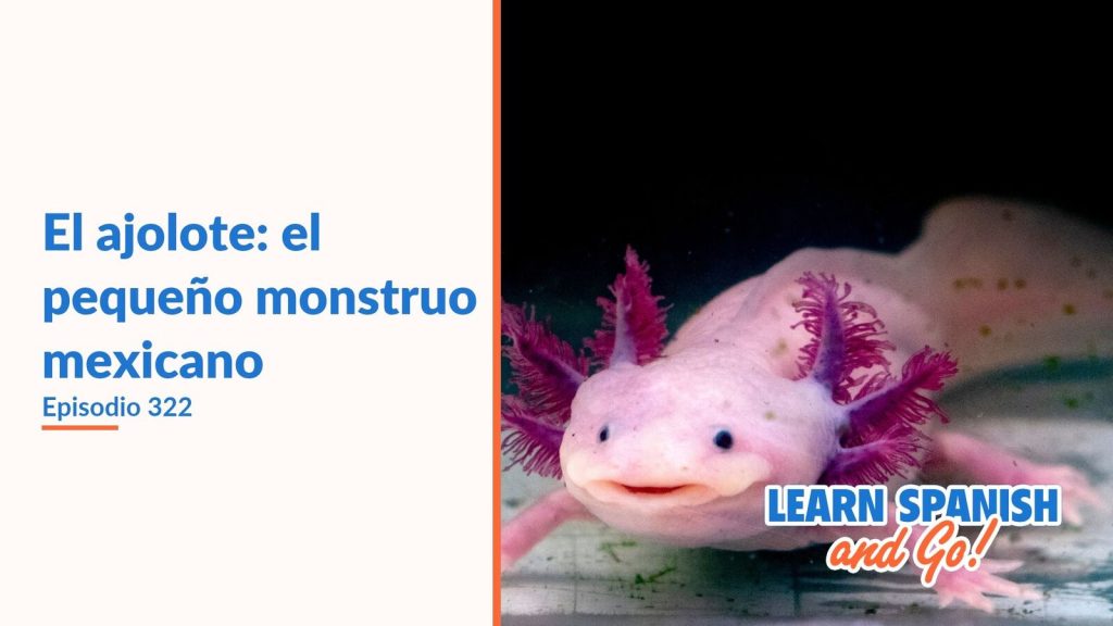 Learn Spanish and Go, episodio 322: El ajolote: el pequeño monstruo mexicano