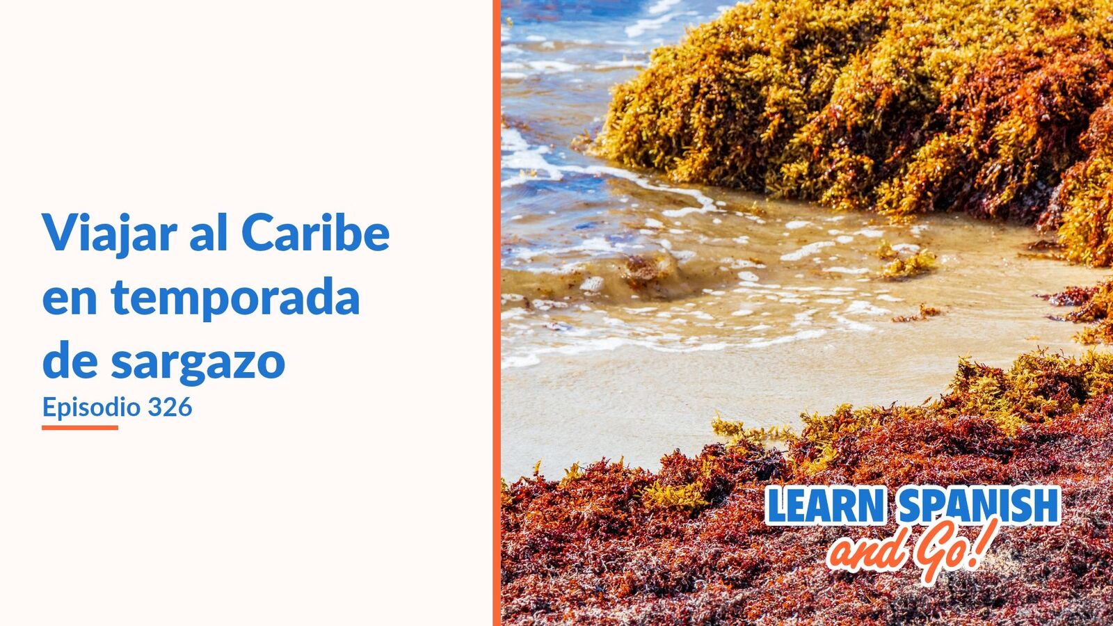 Learn Spanish and Go, episodio 326: Viajar al Caribe en temporada de sargazo